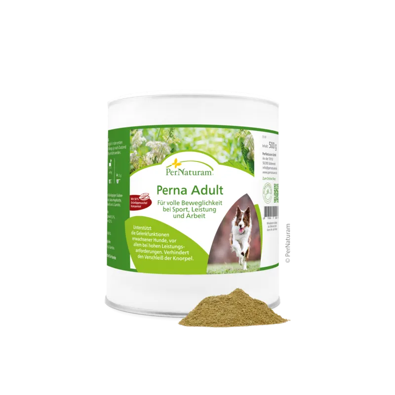 Perna Adult   500g