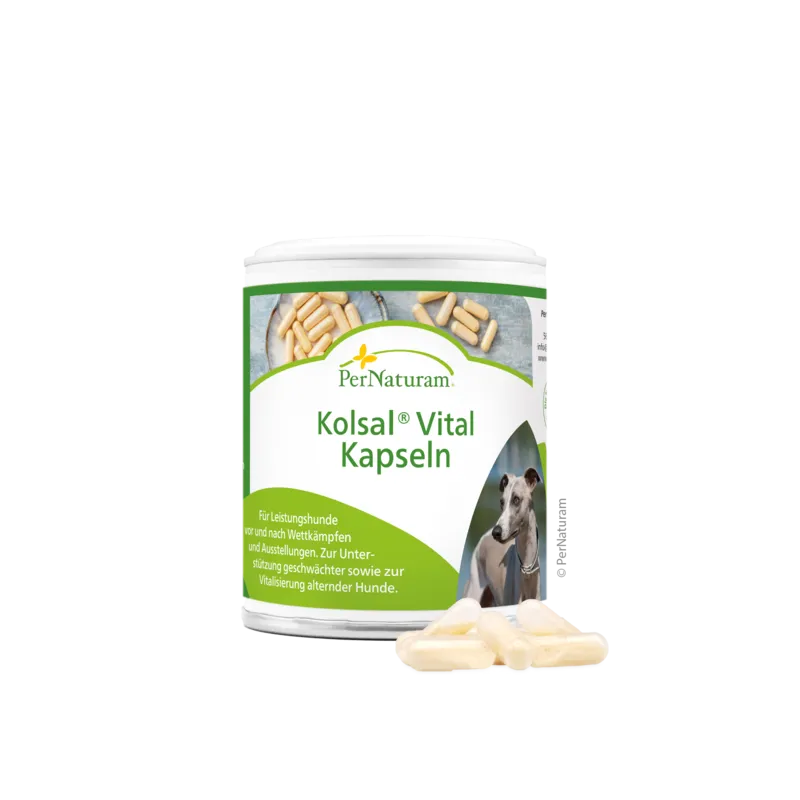 Kolsal  Vital Kapseln  50Stück