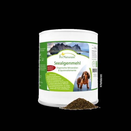 seealgenmehl-dog-500-g-von-pernaturam-125381