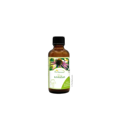 Bio EchinaSaft  50ml