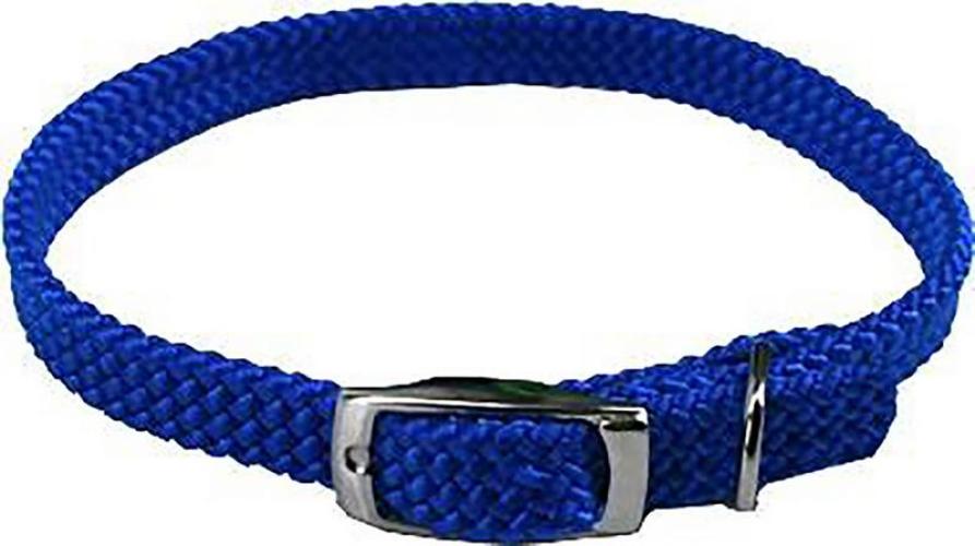 Halsband, 35 cm 10 mm, Nylon, ohne Verzierung,vernickelt, blau
