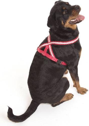 Nylon-Brustgeschirr Comfy, 84-120 cm, schwarz-rot, Dogge, Neufundländer