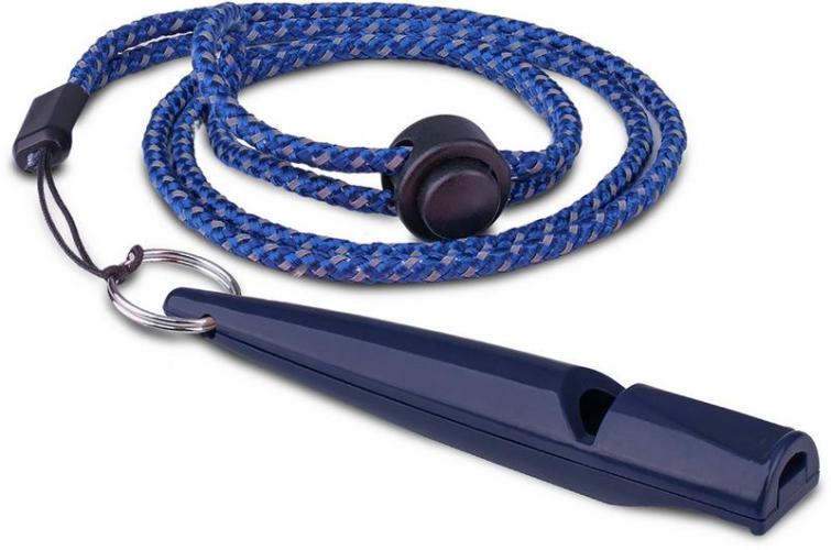 coachi-training-pfeife-blau-85046