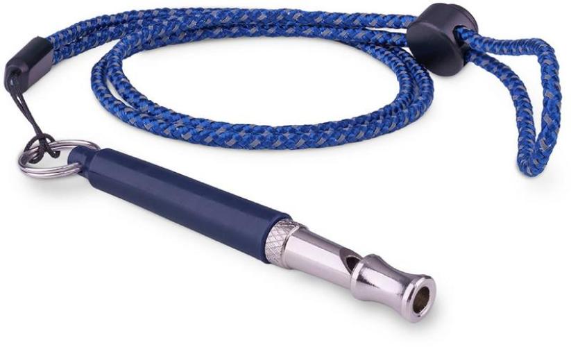 coachi-training-professionelle-pfeife-blau-85045