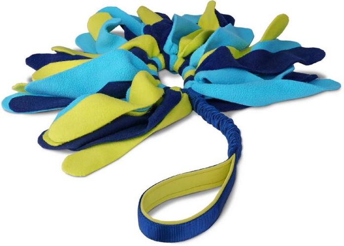 coachi-tuggi-spider-84243