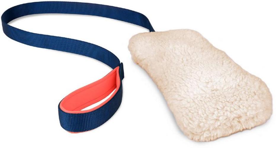 coachi-chase-crinkle-84231