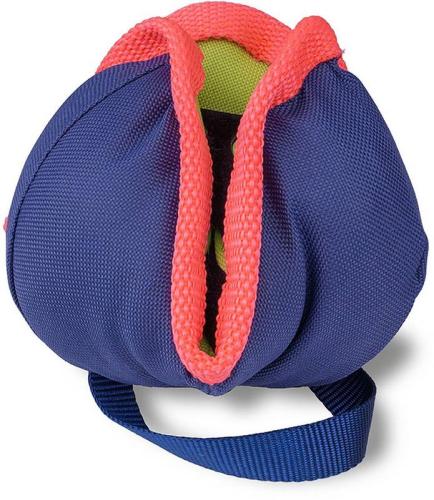 coachi-chase-treat-84233