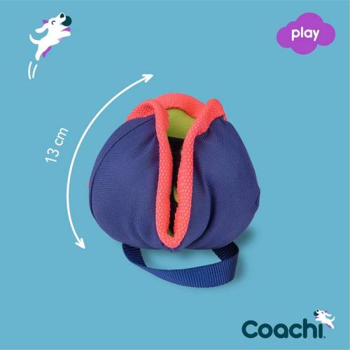 Coachi Chase & Treat