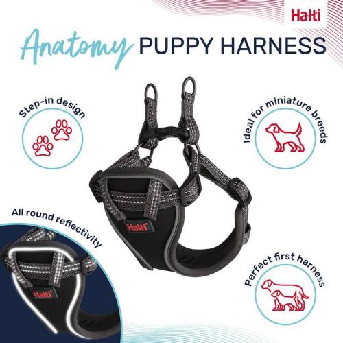 Anatomy Puppy Geschirr XS, grau