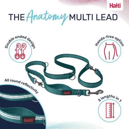 Anatomy Multi Lead L, grau