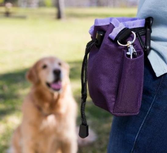 Coatchies Belohnungstäschli, 16 x 17 cm Ø 9 cm, schwarz