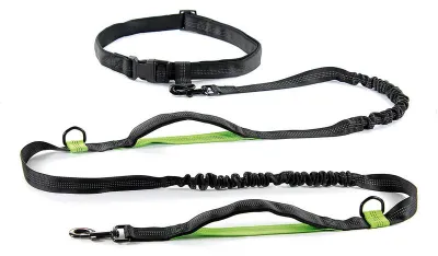 Joggingleine mit Gürtel 2,5 × 215–270 cm Schwarz/Grün