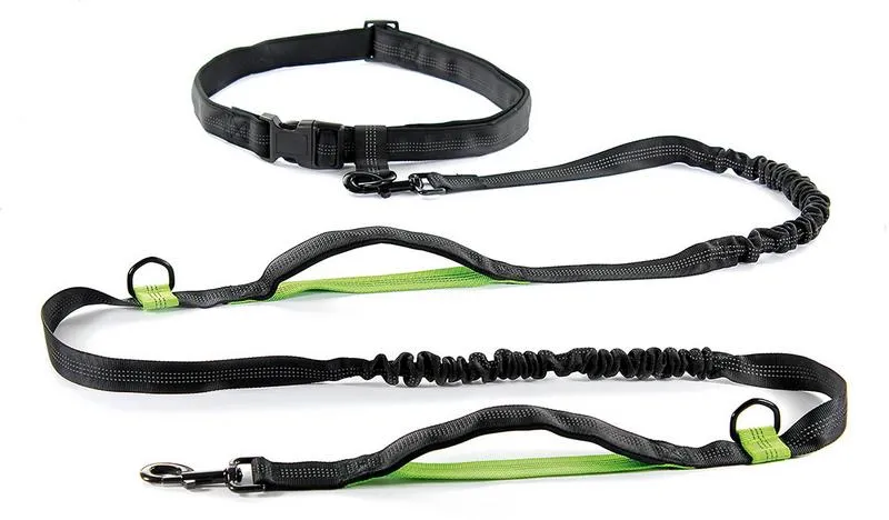 Joggingleine mit Gürtel 2,5 × 215–270 cm Schwarz/Grün