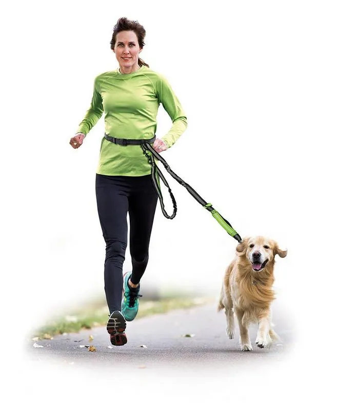 Joggingleine mit Gürtel 2,5 × 215–270 cm Schwarz/Grün