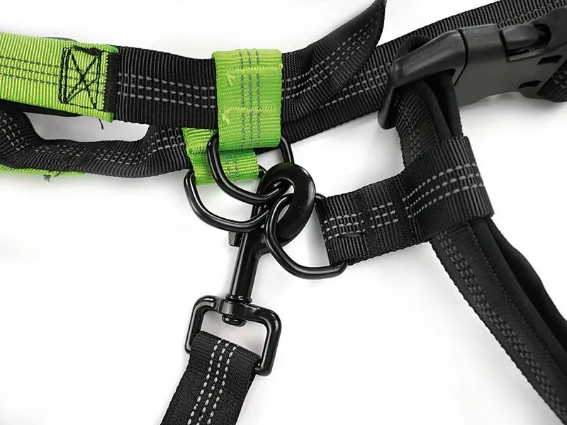 Joggingleine mit Gürtel 2,5 × 215–270 cm Schwarz/Grün