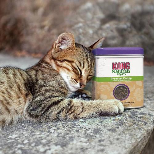 KONG Naturals Catnip Nachfüller für Katzen (28.3 g)