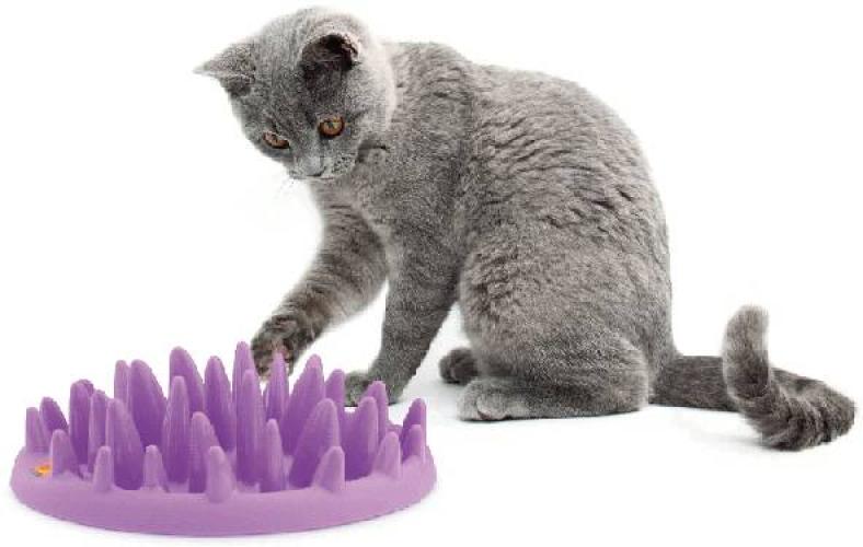 CATCH Interactive Cat Feeder, 27 x23 cm  H 8 cm, lila