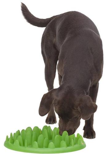 Kong Green Slow Dog Feeder, 40 x 30 cm H10 cm, grün