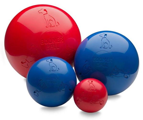 Boomer Ball Hundespielball Ø 25 cm Assortiert