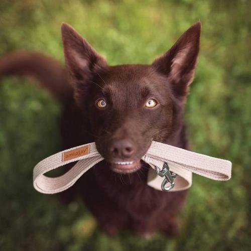 Halsband Cotton S, 15mm/28-40cm, schwarz