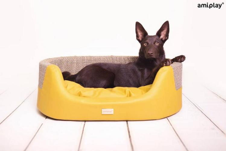 Korb Morgan M, 64 x 55 x 19 cm, gelb