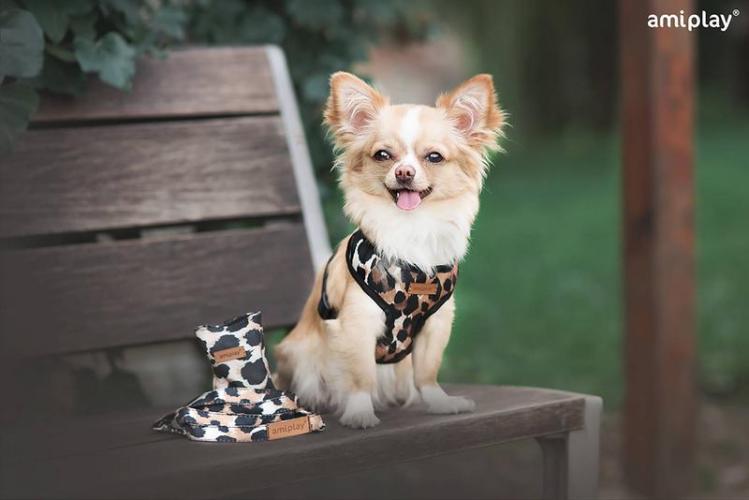 Geschirr Scout Safari, XS max 23 x 25-40 cm, Leopard