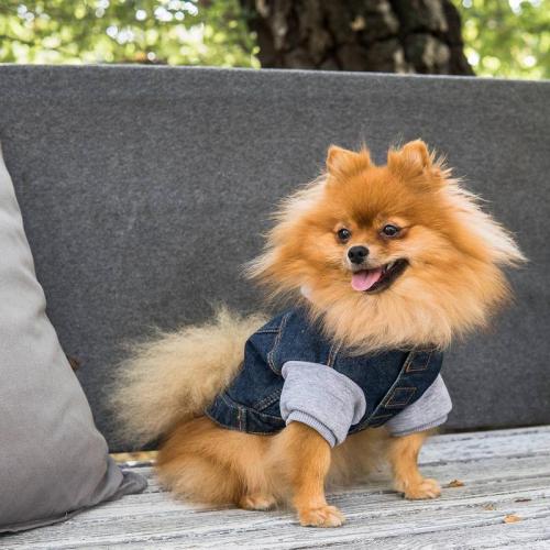 Hoodie DENIM, 25 cm, hellblau