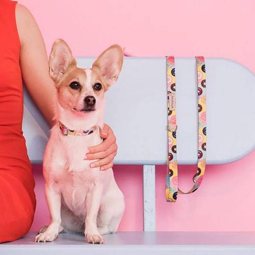 Leine Be Happy Banana S, 15mm/100-200 cm