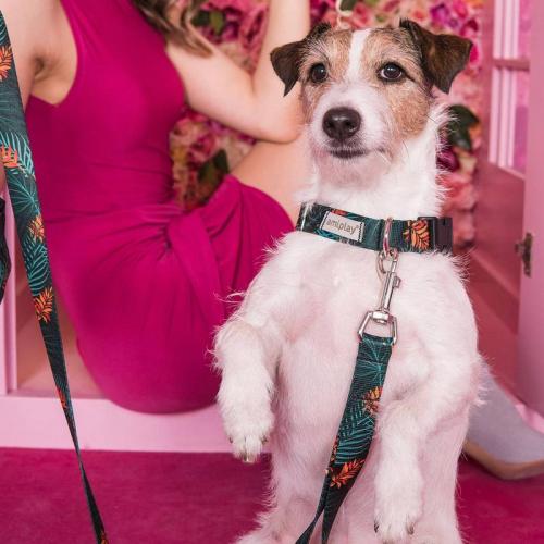 Halsband Be Happy Flam. XL, 25mm/45-70cm