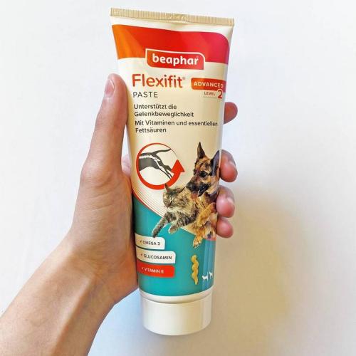 Flexifit Paste für die Gelenke, 250g