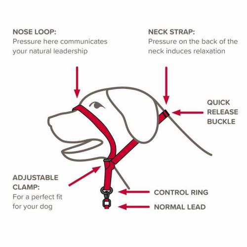 Halsband Gentle Leader L, schwarz