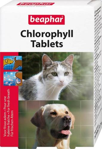 beaphar-chlorophyll-tabletten-dogcat-stop-30-stuck-42791