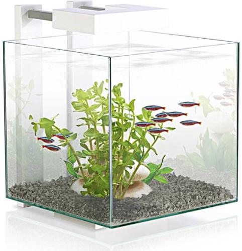 Aquarien  Nexus® Pure 15, 25 x 28 x H 32 cm
