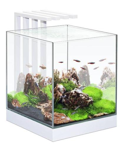 Aquarien Nexus® Pure 25, 29 x 29 x H 29cm, weiss