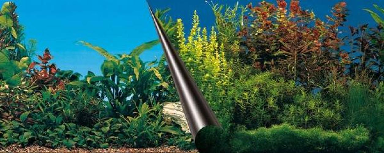 photo-ruckwand-beauty-sea-80-x-40-cm-doppelseitig-42856