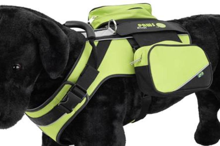 sportgeschirr-reflektierend-a-25-37-cm-b-23-49-cm-grun-84031