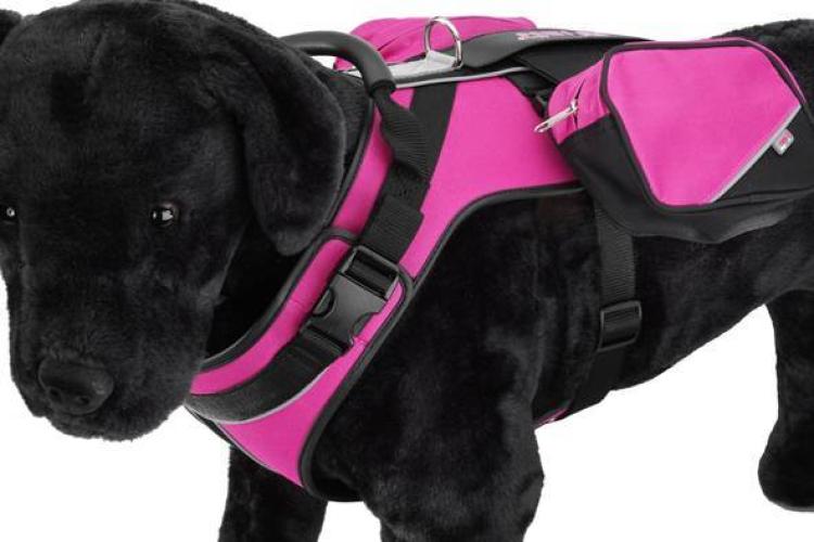 sportgeschirr-reflektierend-a-54-69-cm-b-41-99-cm-rosa-84032