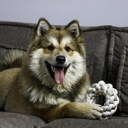 Rope Toys, Ben, Ø 19 x L 5 cm