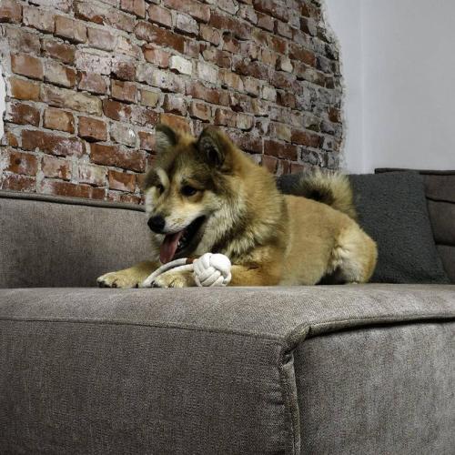 Rope Toys, Harper Ball XS, Ø 7 x 18.5cm