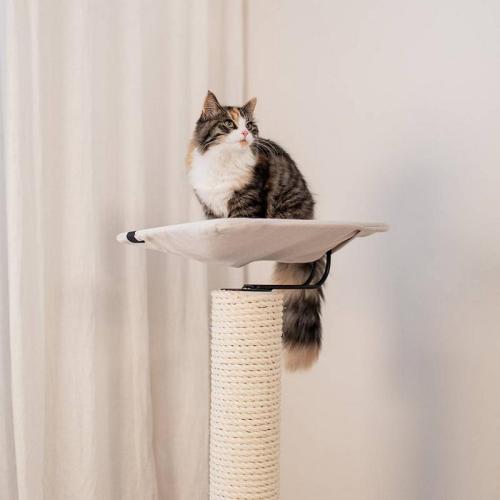 Kratzbaum IWAKI, Ø 47 x 92 cm, weiss