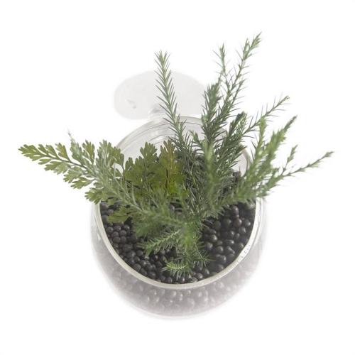 Pflanzentopf aus Glas, Ø 6 x 9 cm