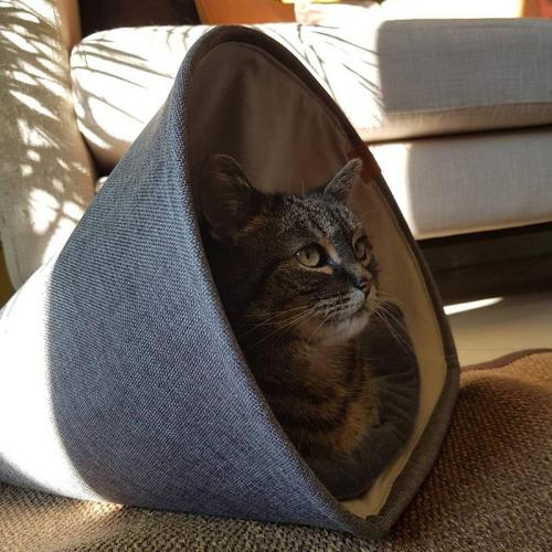 D&D Katzenbett SCOTT, 43x43x35cm, braun
