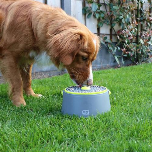 Twist & Lick Ball, 18x18x17 cm, grau