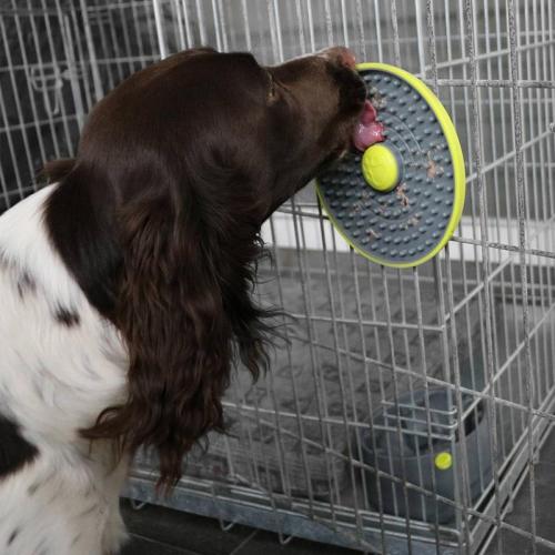 Twist & Lick Ball, 18x18x17 cm, grau