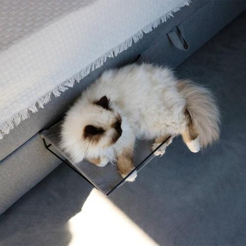 Radiatorbett 2in1 OLIVER, 45x35x10 cm, grau