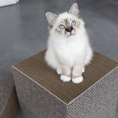 Kratzbrett FREYA Block S, 30x30x15cm, beige