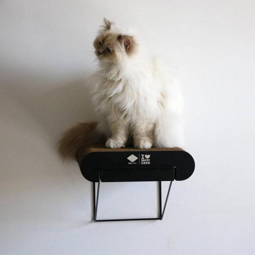 Kratzbrett DAVID Wandbord S, 30x29x24cm