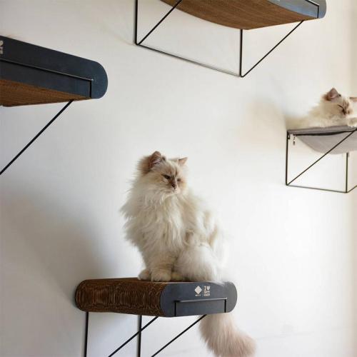 Kratzbrett DAVID Wandbord L, 60x29x24cm