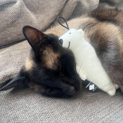 Plüsch Bär BARRY, 2 St., 13x5x3cm