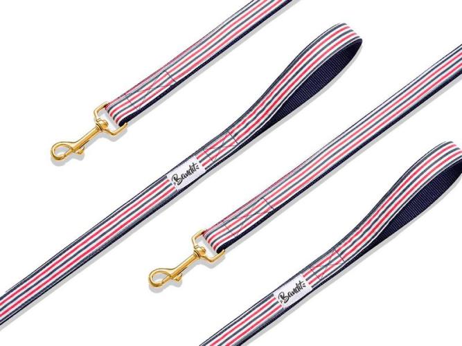 hundeleine-verstellbar-the-french-banban-200-x-25-cm-83247